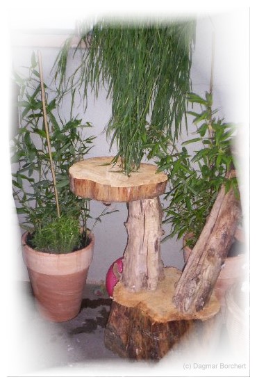 bambuspflanze